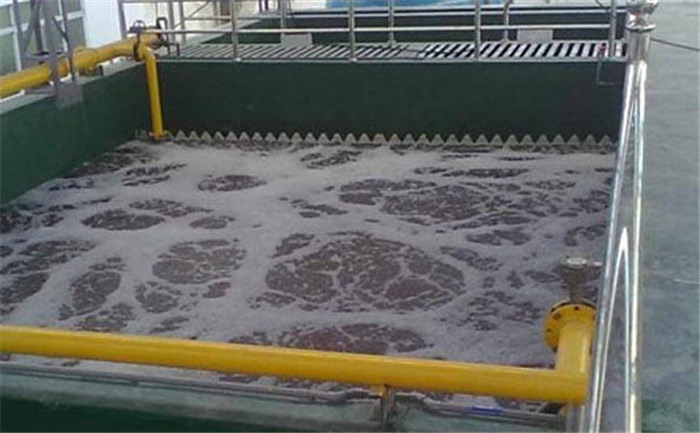 （圖：循環(huán)水起泡現場）