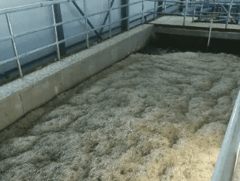 （制漿黑液有機(jī)硅消泡劑應(yīng)用場(chǎng)景）